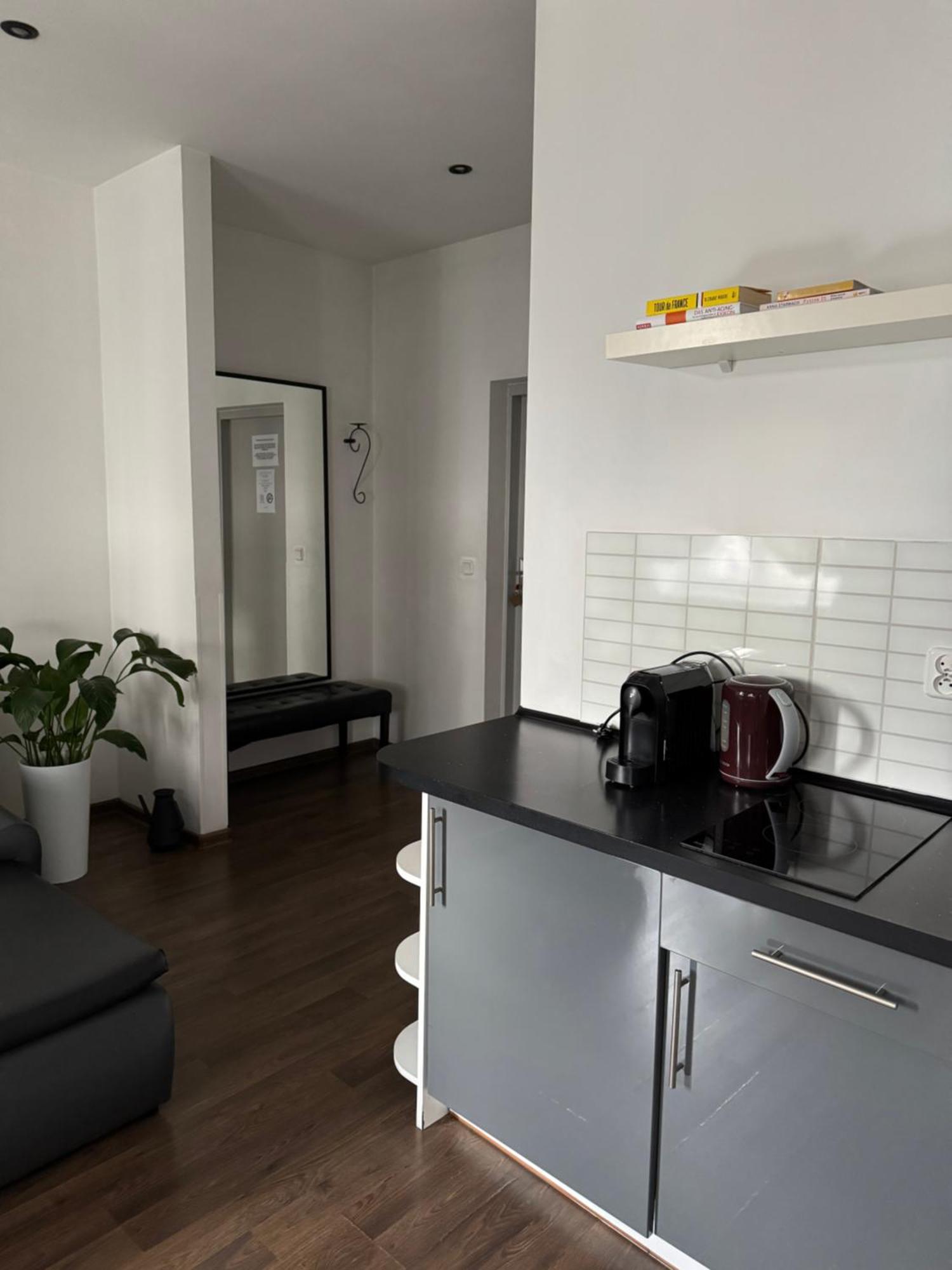 Apartamenty Mlynska15 Self Check-In 24H Катовице Экстерьер фото